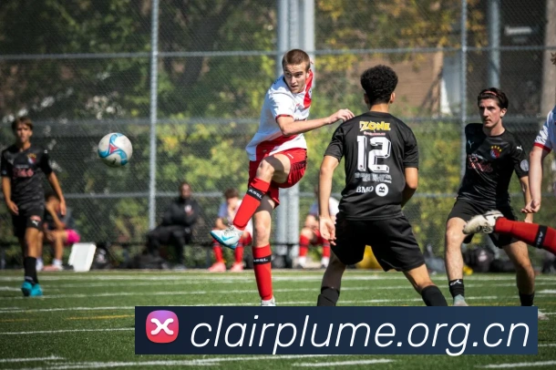 米兰网官网登录入口平台生态图